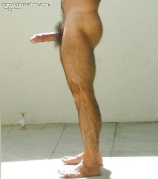 Love being naked, hard, and hairy outdoors