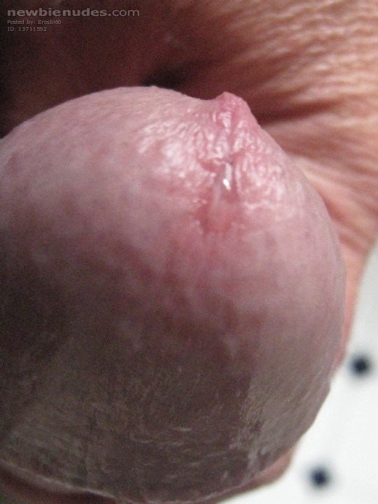 love hot licking precum